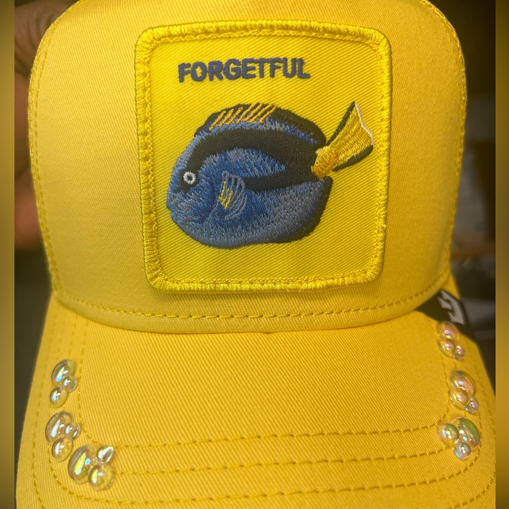 “Forgetful” - Goorin Drop - The Doorway Effect 🐠 🫧
